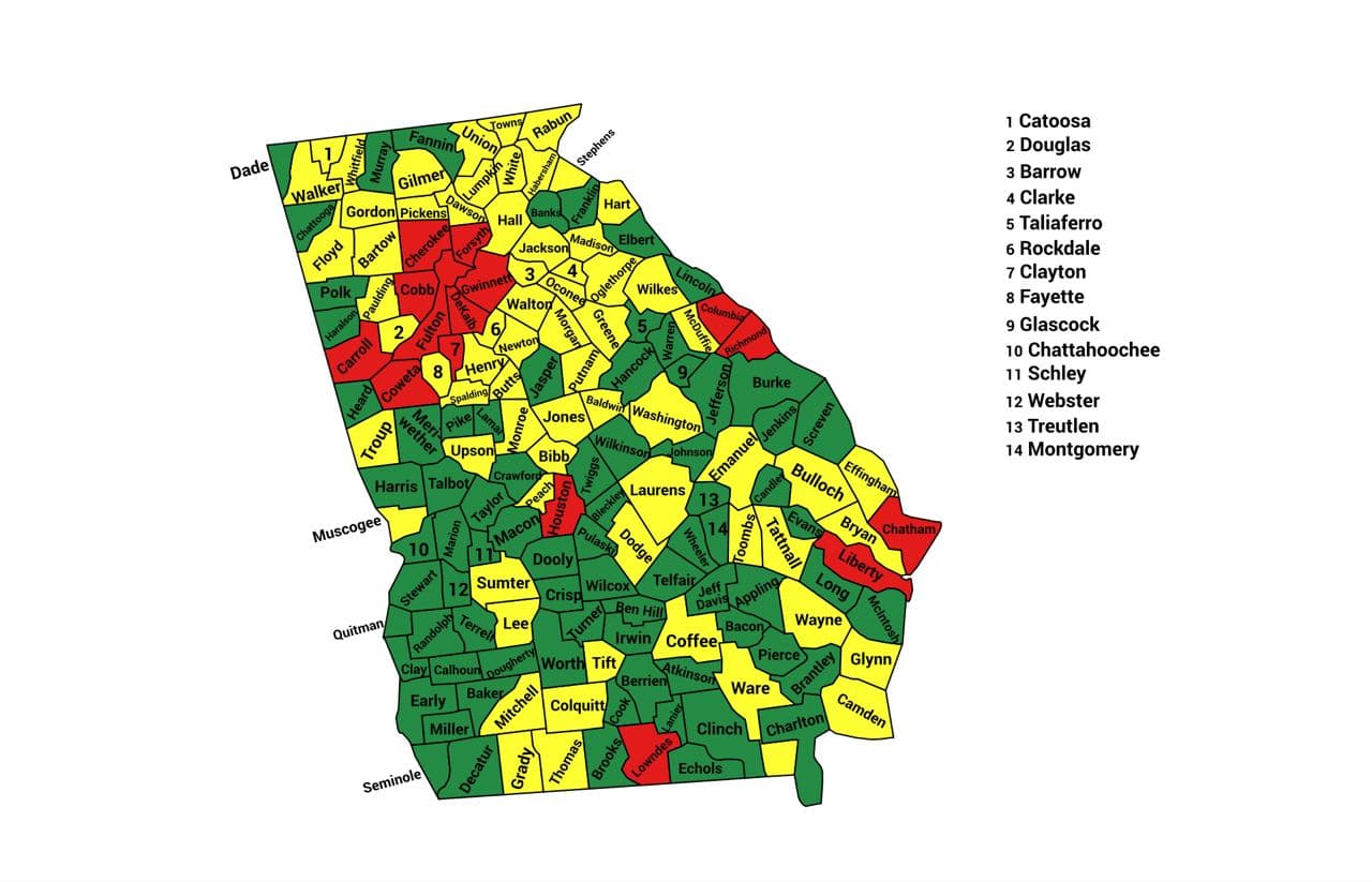 Georgia 2020 Election Fraud Report- Is It Real?